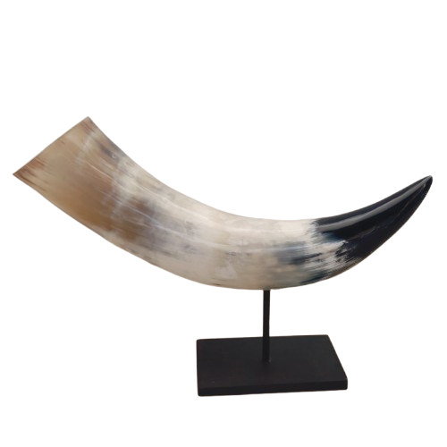 Natural 12-inch Buffalo Horn Mounted on Wood – Unique Antique-Inspired Home Décor thumbnail 1